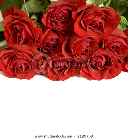 les fleurs