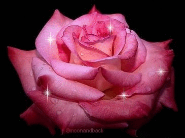 fleur