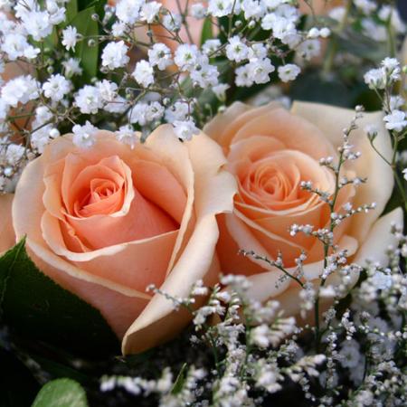 2belle fleur