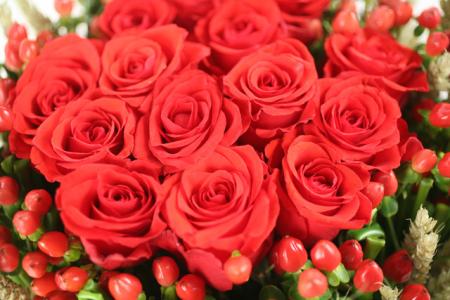 des belles fleurs rouges