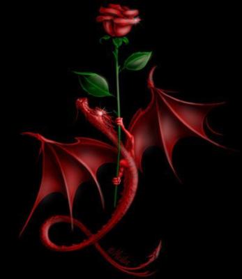 pour mon ceour